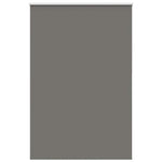 ZNTS Roller Blind Blackout Grey 150x230 cm Fabric Width 146.6 cm Polyester 4011216