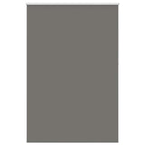 ZNTS Roller Blind Blackout Grey 150x230 cm Fabric Width 146.6 cm Polyester 4011216