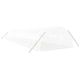 Greenhouse with Steel Frame White 64 m 16x4x2 m 3188078