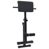 Hyperextension Bench Black 101 x 70 x 71 cm Powder-coated steel 42002573