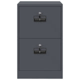 File Cabinet Anthracite 45.5 x 42 x 74.5 cm Cold-Rolled Steel 891612