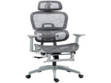 Multi-Adjustable Mesh Office Chair - Grey T3398P424984