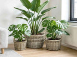 Planter Basket GENDT 3 pcs Natural Grey Kubu Rattan 42020955