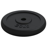 Weight Plate 20 kg Cast Iron 93643