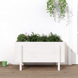 Garden Raised Bed White 101x50x57 cm Solid Wood Pine 825213