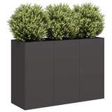 Planter Black 120x40x80 cm Cold-rolled Steel 860717