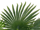 Artificial Plant Palm with Pot Green 70 cm 280192