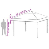 Gazebo Cover Replacement 300 x 300 x 26 cm Transparent PVC 42008410