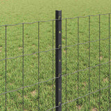Fence and Post Grey 0.6 x 10 m Steel 3336071