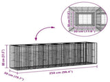 Gabion Raised Bed 2 pcs Silver 250 x 50 x 80 cm 3422231