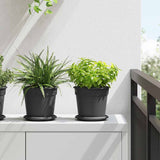 Plant Pots 24 pcs Black 17 x 14 cm Plastic 3403268