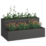 Garden Planter Black 100 x 60 x 45 cm Cold-rolled Steel 865869
