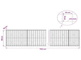 Gabion with 5 mm Wire and 10x10 cm Mesh 750x30x100 cm 3465129