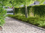 Lawn Edging 50 pcs 103 x 10 cm Steel Silver 8008341