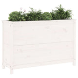 Garden Raised Bed White 119.5x40x78 cm Solid Wood Pine 825290
