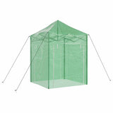 Greenhouse with Pop-up Frame Green 200 x 200 x 300 cm Iron 42006641