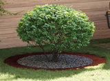 suitable for Flat Tree Ring Brown 90 / 120 cm Weathering Steel 873730