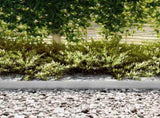 Lawn Edging 50 pcs Silver 100 x 0.05 x 15 cm Galvanised Steel 865941
