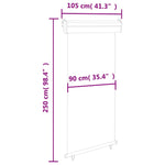 Balcony Side Awning 105x250 cm Black 48412