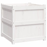 Garden Planters 2 pcs White Solid Wood Pine 837427