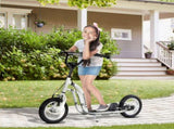 Dual Brakes 12" Metal frame Kick Scooter adjustable black T3398P422456
