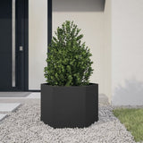 ZNTS Garden Planter Black Hexagon 69x60x45 cm Steel 851122