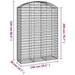 Arched Gabion Basket 150x50x200/220 cm Galvanised Iron 153460