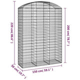 Arched Gabion Basket 150x50x200/220 cm Galvanised Iron 153460