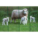 ZNTS Nature Wire Mesh Rectangular 0.6x10 m Plastic Coated Steel Green 409380