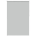 ZNTS Roller Blind Blackout Light Grey 160x230 cm Fabric Width 156.6 cm Polyester 4011478