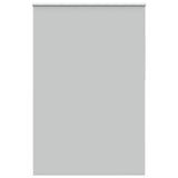 ZNTS Roller Blind Blackout Light Grey 160x230 cm Fabric Width 156.6 cm Polyester 4011478