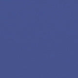 Retractable Side Awning Blue 180x1200 cm 4004836