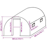 Greenhouse Replacement Cover 300x300x200 cm Green 316429