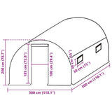 Greenhouse Replacement Cover 300x300x200 cm Green 316429