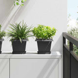 Plant Pots 6 pcs Black 20 x 20 x 16 cm Plastic 3403298