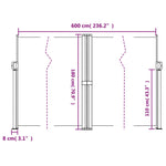 ZNTS Retractable Side Awning Beige 180x600 cm 4004645