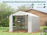 8 x 6ft Walk-In Greenhouse, with Shelves - White T3398P322097