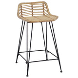 Bar Stool 2 pcs Natural 44 x 45 x 76 cm Rattan and Steel 42033202