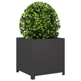Garden Planter Black 50x50x50 cm Steel 851213