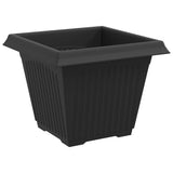 Plant Pots 6 pcs Black 38 x 38 x 30 cm Plastic 3403302