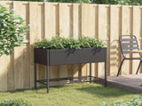 Garden Planter with Shelf Black Poly Rattan 366384