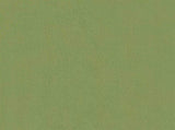 Armchair Light Green Velvet 42047726