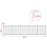 Gabion with 3.5 mm Wire and 10x10 cm Mesh 250x20x50 cm 3463079