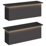 Garden Planter with LED 2 pcs Black 30 x 100 x 30 cm Steel 8008113