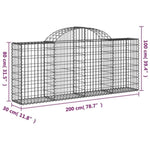 Arched Gabion Baskets 15 pcs 200x30x80/100 cm Galvanised Iron 3146102