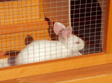 Rabbit Hutch Outdoor Guinea Pig Hutch Wooden Pet Cage Run 2-Tier with Opening Top, 90 x 45 x 80cm T3398P350018