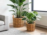 Planter Basket GENDT 2 pcs Natural Brown Kubu Rattan 42020958