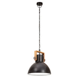 Industrial Hanging Lamp 25 W Black Round 30 cm E27 320536