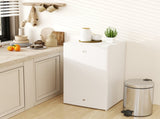 91L Freestanding Under-Counter Fridge with Lock - White T3398P328350