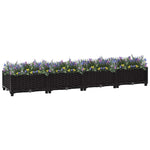 Raised Bed 160x40x23 cm Polypropylene 316529